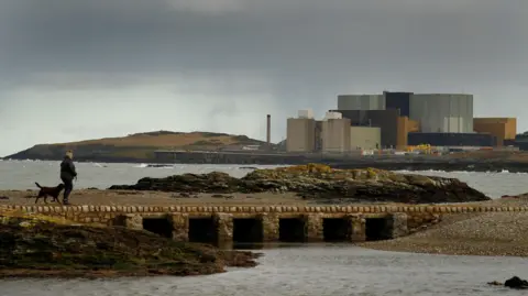 Reuters A defunct Wylfa power station in the background with a dog walker seen near a coastline.