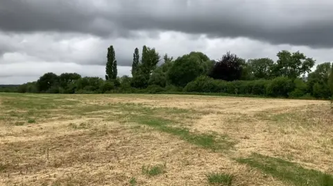 A rugged field with trees in the background. Grey clouds are overhead.