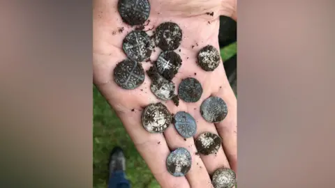 Chris Linton A hand holding a dozen silver coins still partly covered in dirt after being dug up by Chris Linton.