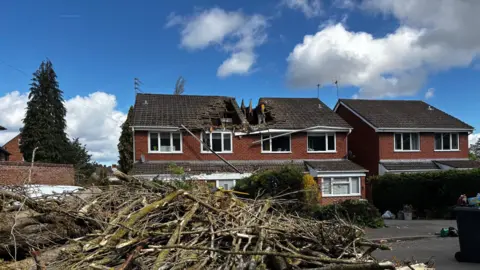BBC Two houses have a large hole in the roof, in the foreground is the remnants of a fallen tree