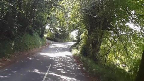 A road that forks off to the left under a canopy of trees and other greenery on a sunny day.