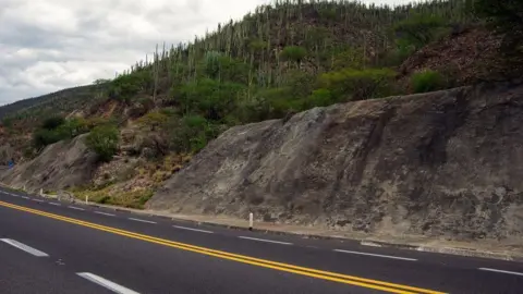 A road with red and white lines, next to a rock and shrubbery and cactus. The sky is blue with clouds in the background