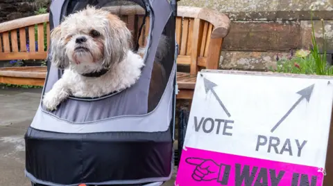 PA A shih tzu with one eye sits in a specialist buggy outside a polling station at a church in Edinburgh.