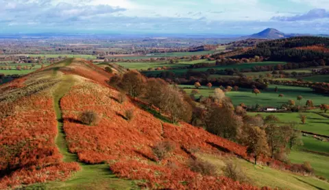 An ariel view of green hills with trees and their leaves turning brown.