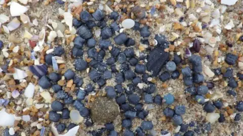 Strandliners A close-up overhead view of dozens of small black pellets on a beach