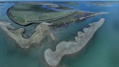 A birds eye view of an estuary with sand and marshes surrounded by greenish water