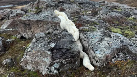 Nicola Turner A woollen sculpture among rocks.
