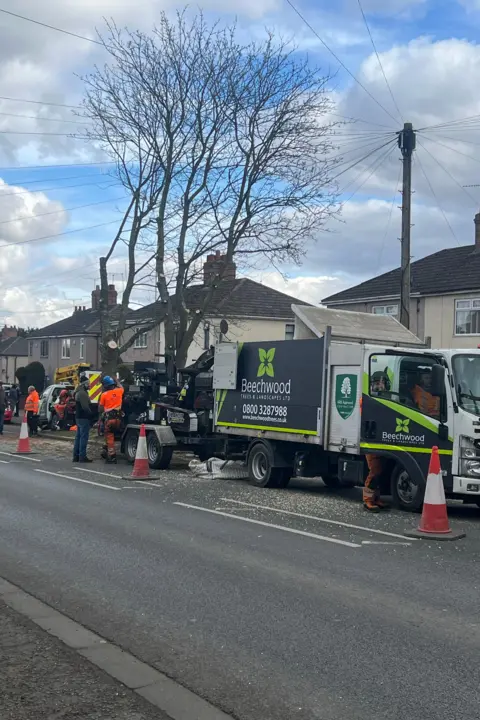 A van and workers on a residential road near two trees. Red traffic cones are places near their vehicles.