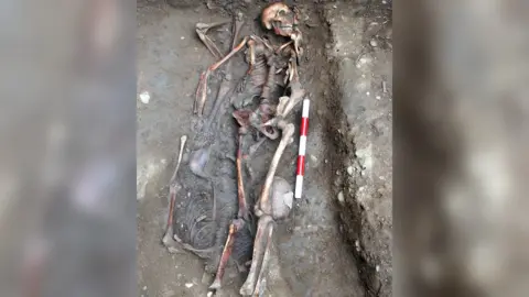 York Archaeology Skeletal remains lying in the ground. There is a red and white pole next to one of the skeletons.