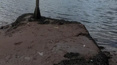Friends of the River Teign A section of land surrounded by teh sea is covered in brown sludge abd there are bits of toilet paper visible.