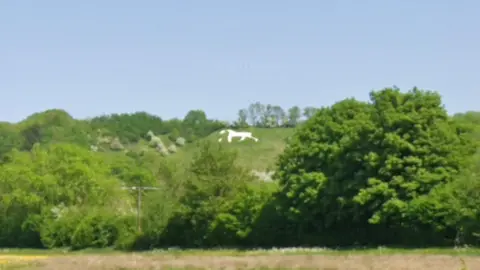 Google Maps An image of a white horse on a hillside far away