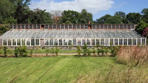 Historic England Archive A run of early Victorian white-framed glasshouse against a wall at Somerleyton Hall. The roof of the multi-paned glass house runs up to the wall. Plants can be glimpsed within. In front of it is grass and a gravel path. Above is blue sky and trees in leaf.