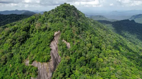 Jacob Hudson Aerial view of the summit of Juliana Top covered in dense rainforest with a small area of exposed cliff face. Other mountains covered in forest are in the background.