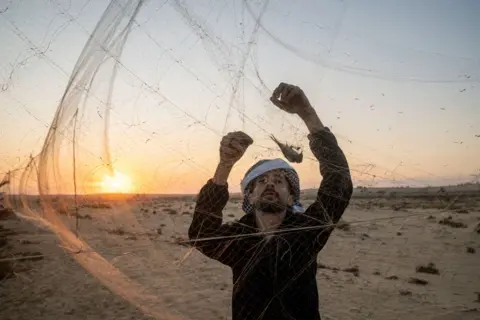 ALI MOUSTAFA /  GETTY IMAGES  A hunter collects migratory birds from a net - Wednesday 2 October 2024