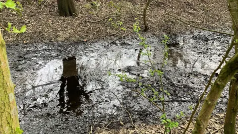 Adrian Troughton A stream covered in oil
