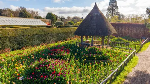 Arundel Castle A very pretty scene of more than hundred tulips in an ornamental garden