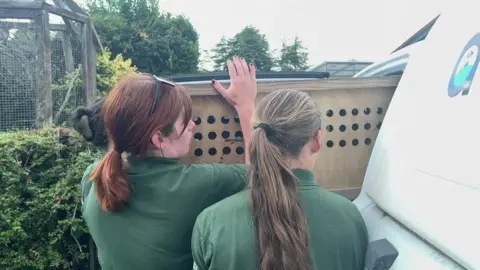 Three women holding a crate that they are putting into a van