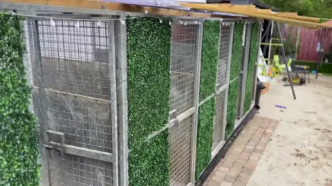 A row of metal cages outdoors with plastic decorations stuck to them that are meant to look like a green bush. The cages are set on a dirty patio with a set of swings.