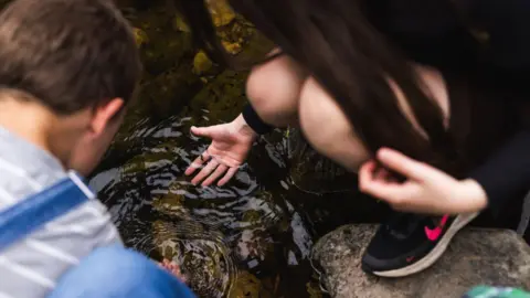 Cumbria Connect Two children are squatting above a pond and dipping their hands in to see what they can find. The knees of one girl are at the front and the head of the boy who is wearing a blue shirt behind 