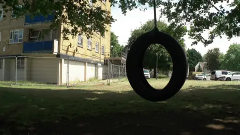 Close-up of a large tyre swing, tree branches hanging down, and behind the bottom of a tower block being repaired, with large metal fencing and scaffolding.