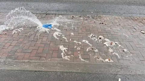 Caroline Booth A fountain of water spurting out from under a blue drain cover in the middle of a brick pavement. The pavement is littered with wet toilet roll and faeces.