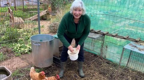 Woman feeding hens in allotment.