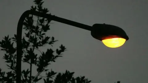 BBC A street light in the dark, there is a tree, and the light glows orange.