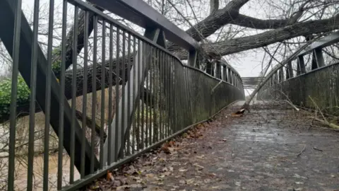 Devon County Council A view across the bridge, showing a fallen tree that has damaged the bridge's handrails