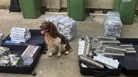 A dog stands in between dozens of packet of cigarettes which are strewn across two suitcases. Stacks of tobacco packets are also pictured in the background, alongside a row of green waste bins.