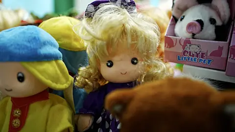 Xiqing Wang, Xiqing Wang Dolls and other toys sit together