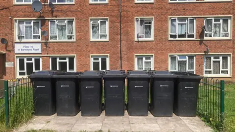 Bins lined up outside a block of flats in Birmingham