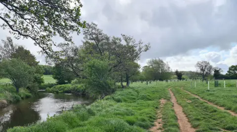Eden Rivers Trust The River Petteril is on the right of an area where hundreds of saplings are planted within plastic tubes. More established trees stand on the riverbanks. The sky is cloudy.