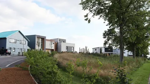 GHVDC A row of self-build houses, each different from the other. Several are large and box-shaped. The nearest has a traditional gable roof and is mainly blue in colour. In the foreground is a patch of green with trees and long grass.