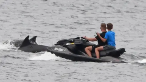 Two people - who look to be a man and a child - are on a water scooter or personal watercraft following behind two dark blue/ black dolphins.