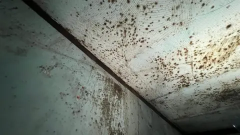 Emma Baugh/BBC News A light blue bedroom ceiling with spores of black mould