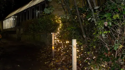 A dark path with small lights stretching across a fence with Christmas lights draped over the foliage