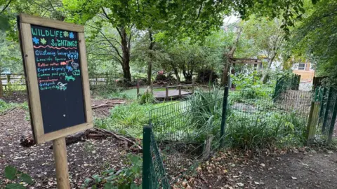 Rachel Develin Woodland garden area with a small fenced pond and a wooden bridge surrounded by dense green trees. In the foreground, a chalkboard-style sign reads “Wildlife Sightings” and lists animals such as insects, birds, frogs, and small mammals. Leafy ground cover and scattered fallen leaves line a dirt path beside the fence, with a wooden structure partially visible in the background.