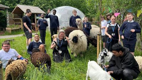 School pupils on working farm with sheep at Grange School in Manchester 