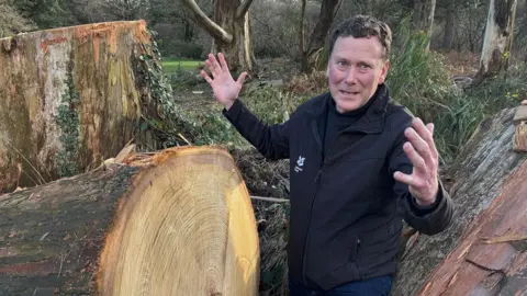 BBC Gregor Fulton surveys damage at Rowallane gardens in County Down. He has his arms stretched out wide and is wearing a black coat. He is standing beside a large tree which has been cut down.