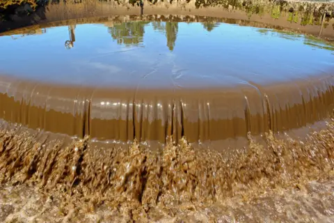 A close-up view of brown, churned wastewater overflowing the circular weir of a secondary clarifier tank at a sewage treatment plant. The calm, dark surface water inside the central basin reflects the clear blue sky and nearby trees, while a thick, frothy mixture of brown sludge cascades over the smooth edge into a turbulent collection channel below.
