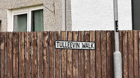 A cropped photo showing a street sign at Tulleevin Walk, Newtownabbey, attached to a brown wooden fence. There is a lamp post to the right of the sign and a building in the background with a white window. 