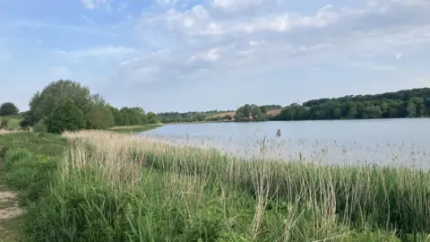 A large lake with grass growing alongside it.