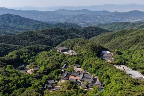 BBC/ Hosu Lee An aerial view of Donghwasa Temple, surrounded by dense woodland in the mountains near Daegu, South Korea