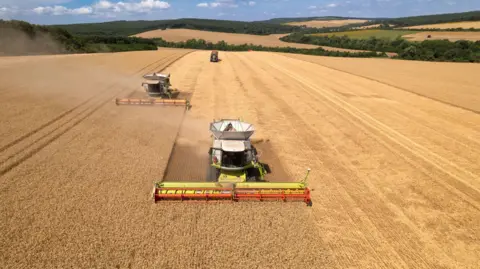 Getty Images Combine harvesters and a tractor plough a wheat field in the British countryside. In the background, more wheat fields and countryside can be seen.