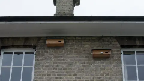 University of Cambridge Two wooden nesting boxes are fixed to a brick wall on an old building.