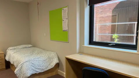 One of the bedrooms on the site; it's a single bed with blue patterned bed sheets. In the foreground is a light wooden desk, with a blue office chair. Out of the window you can see a red brick wall with plants reaching up above the windowsill. The walls are beige and the carpet is dark red.