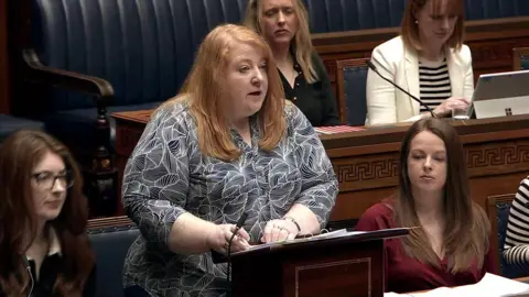 NI Assembly Naomi Long speaking in the NI Assembly.