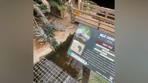Mesmerizing Man Arrested After Boy Critically Injured In Crocodile Enclosure At Uk Zoo Moment Concept Mesmerizing Man Arrested After Boy Critically Injured In Crocodile Enclosure At Uk Zoo Moment Concept