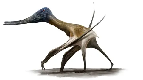 Reconstruction painting of a pterosaur with a long snout walking on mud flats