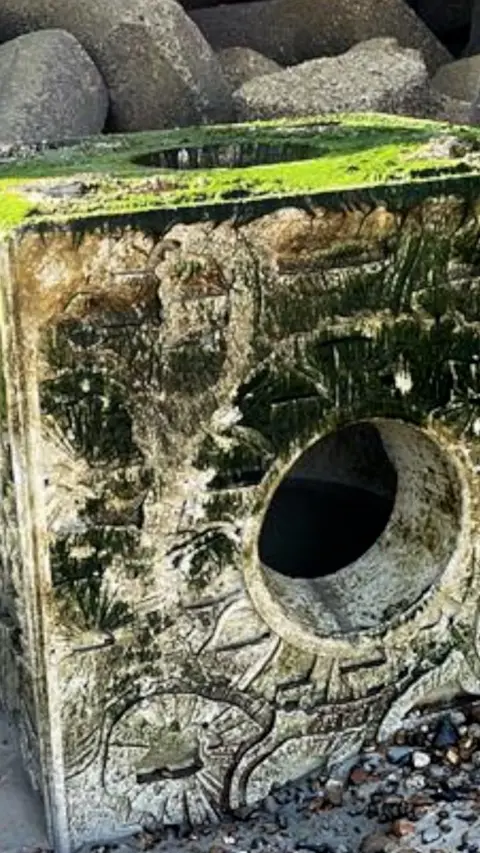 An artificial reef cube